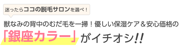 獣なみの背中のむだ毛を一掃!優しい保湿ケア&安心価格の「銀座カラー」がイチオシ!