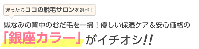 獣なみの背中のむだ毛を一掃！優しい保湿ケア＆安心価格の「銀座カラー」がイチオシ！