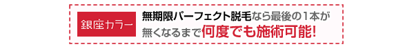 銀座カラーの無制限パーフェクト脱毛なら、最後の1本がなくなるまで何度でも施術可能